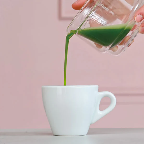 Hario Matcha Collection Set - Image 10